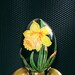 Yellow daffodils . Duck egg. Easter eggs.