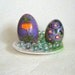 Garden primula on darkly grey background. Duck egg. Easter eggs.