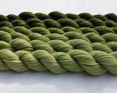 Leaf Green Gradated Yarn Set in Middle Range