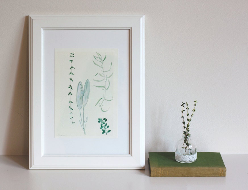A5 Illustration Print - Herbs I like