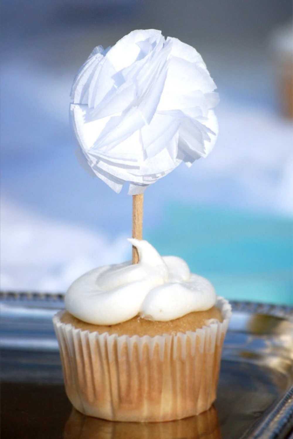 The Original Peppy Toppers (Set of 12)