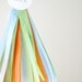 Custom Tassel Cake Topper