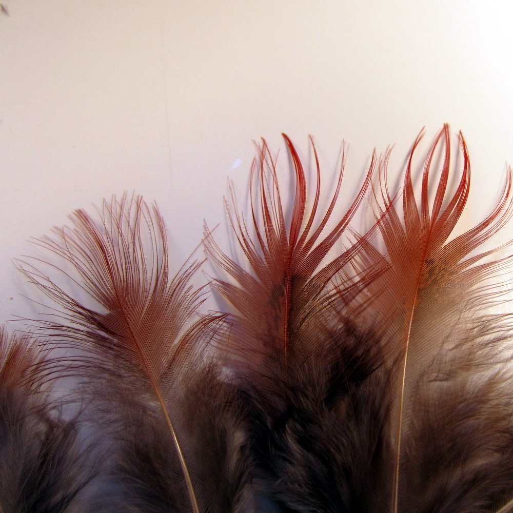 natural red Feathers 25 Golden Pheasant