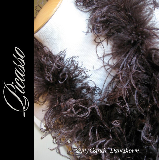 Curly Ostrich Feather Marabou Boa Dark BROWN by PicassoAppliques