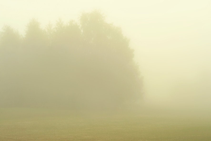 Fine art photography print, nature photography.  Misty Morning by DMpics on Etsy. 23 x 35 inches