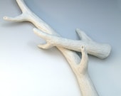 Two white porcelain branch set, hand-carved, faux bois