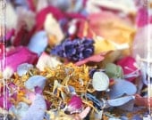 Fling  Petal Confetti - Toss Or Decoration - Freeze Dried Floral - Summer Wedding - Bright Pastel - Weddings - Send Off - Flower Girl