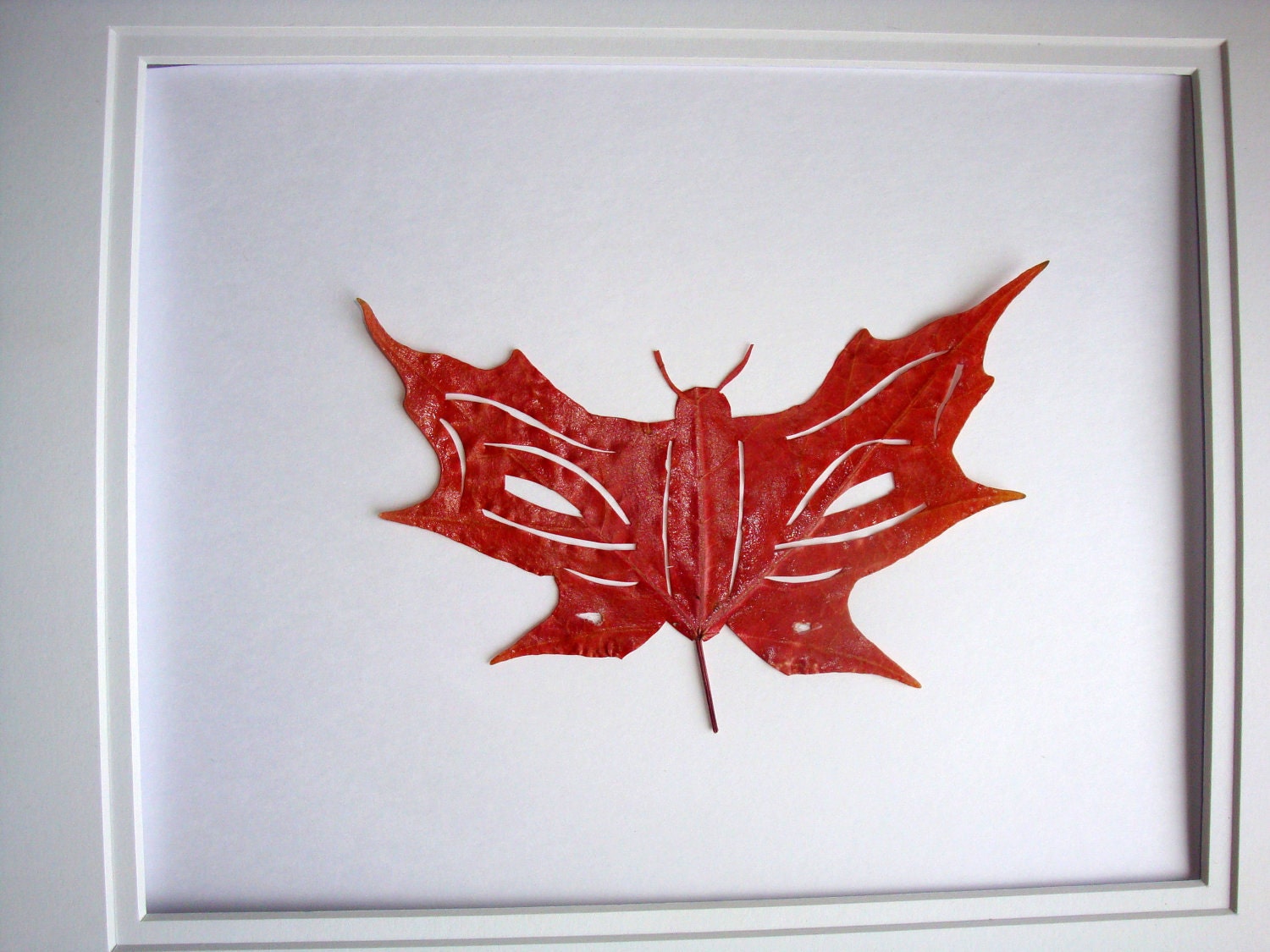 Butterfly Maple Leaf Hand Cut - Inscribed Leaf Art -butterfly by evLien Designs