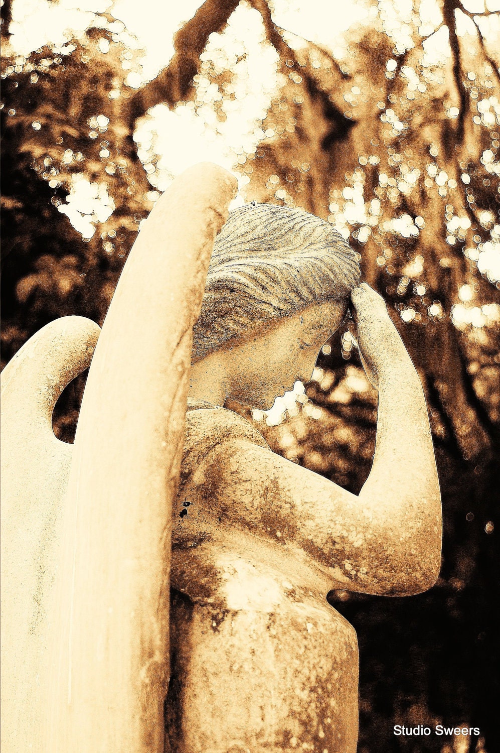 Angelic Reflection