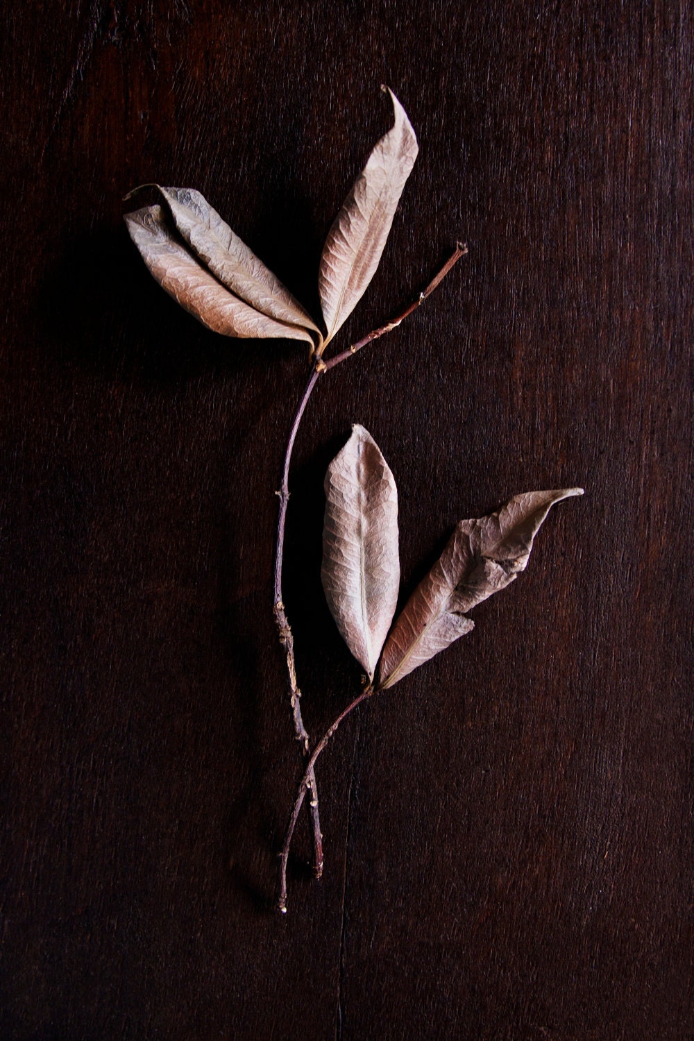 Pair