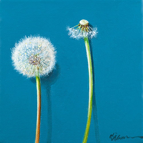 Original Painting realism Fine Art HANDPAINTED on canvas "dandelion"