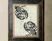 Lobster(Black) - Printed on a Vintage Dictionary Page 8X10
