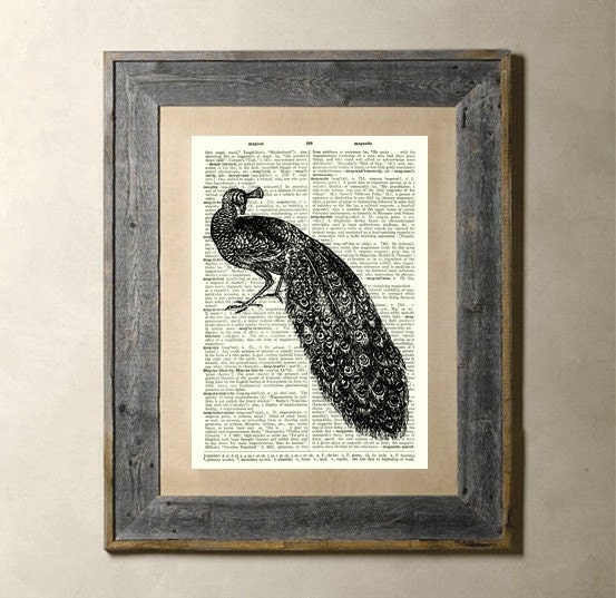 Peacock - Printed on a Vintage Dictionary Page 8X10