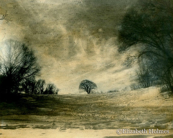 Winter Scene - Blank Handmade Nature Landscape Photo Greeting Card