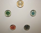 Set Of 5 MTG Magic The Gathering Card Land Mana Symbol Magnets Plus FREE 6th Magnet