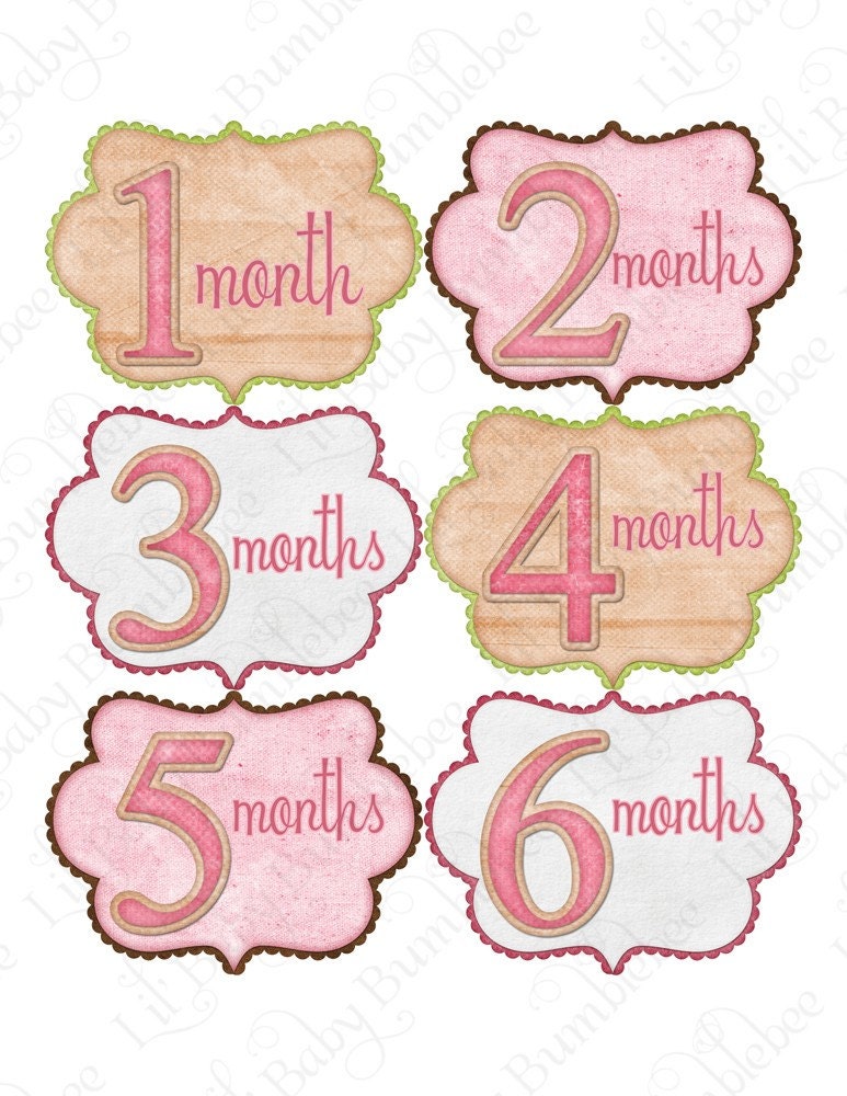 Baby Month Stickers Monthly Onesie Stickers - Brianna - Pink and Tan - Great Baby Shower Gift and Photo Prop