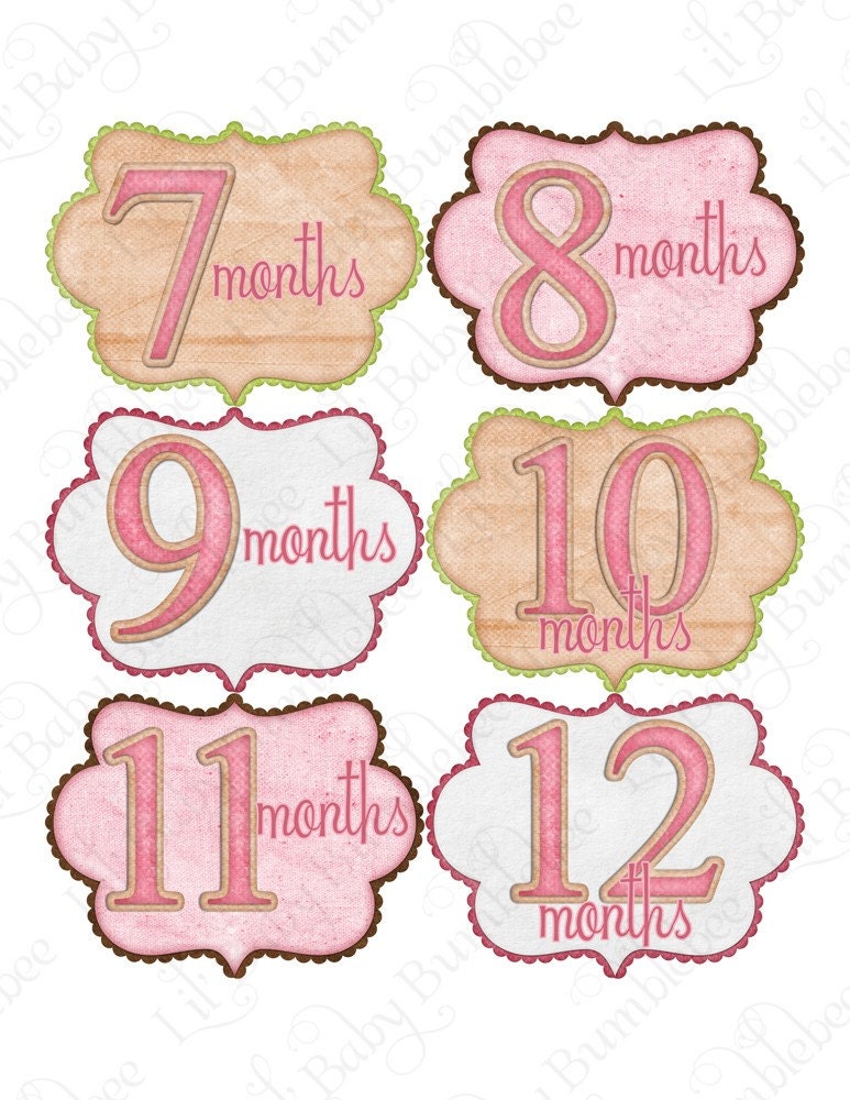 Baby Month Stickers Monthly Onesie Stickers - Brianna - Pink and Tan - Great Baby Shower Gift and Photo Prop