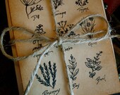 Set of 5 Vintage Inspired Blank Note Cards - Herbs