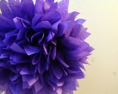 Periwinkle ... 1 Pom Il_170x135