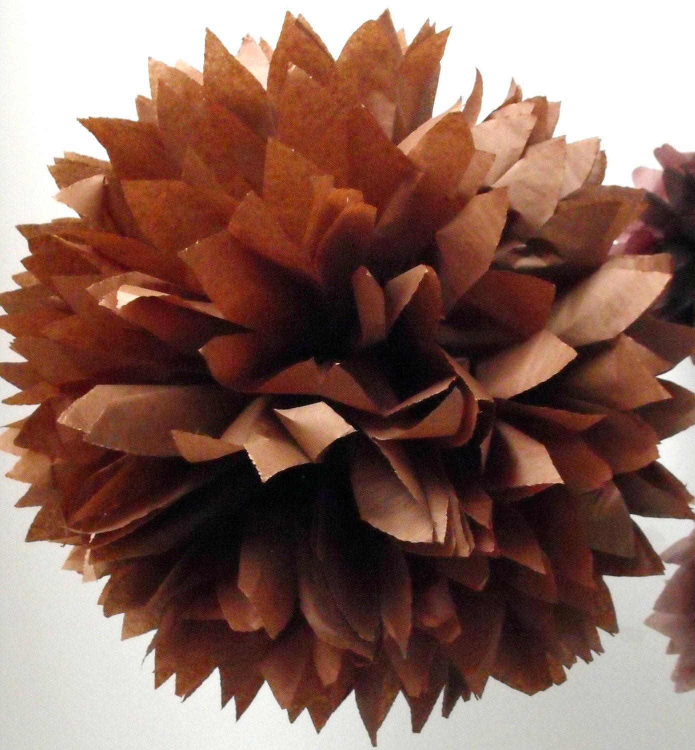 brownie ... 1 Pom Il_170x135