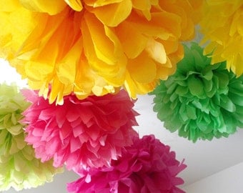 Snapdragon ... 6 Poms