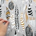 100% Premium Kona Cotton- "Feathers Beautiful" - Fat Quarter-ships same day