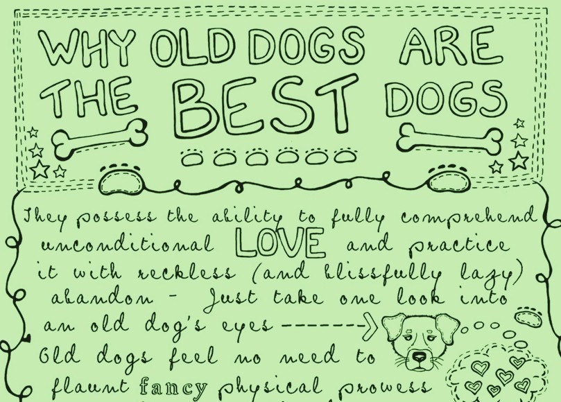 Why Old Dogs Are The Best Dogs - 8x10 ART PRINT Dog Poster - Mint Green