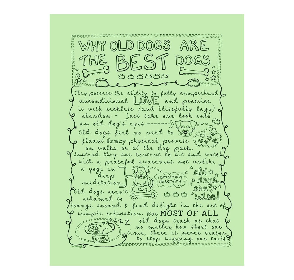 Why Old Dogs Are The Best Dogs - 8x10 ART PRINT Dog Poster - Mint Green