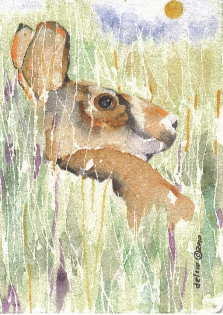 RABBIT in the GRASS  aceo watercolor giclee PRINT - Free Shipping