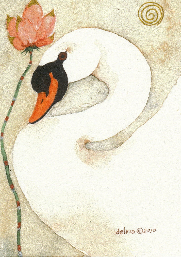 MUTE SWAN  aceo watercolor giclee PRINT - Free Shipping