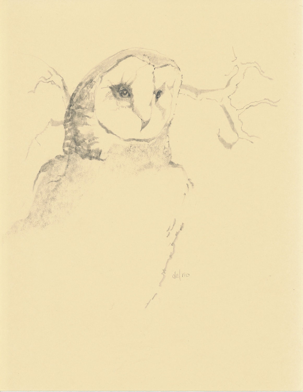 OWL pencil drawing ORIGINAL spirit totem bird