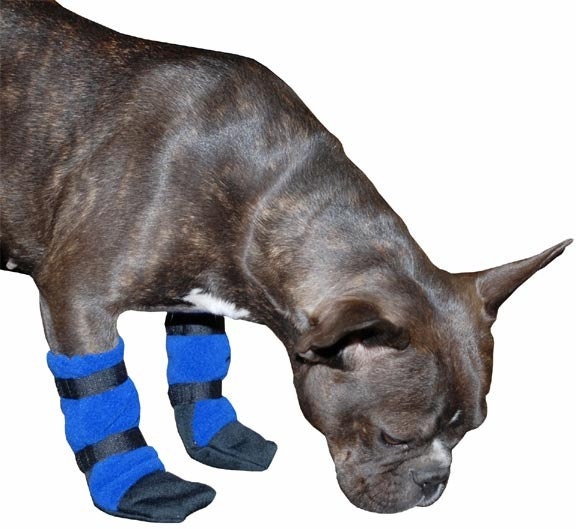 French Bulldog Slippers