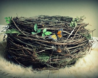 Large Organic Owl/Bird Nest Newborn/Infant Photography Prop