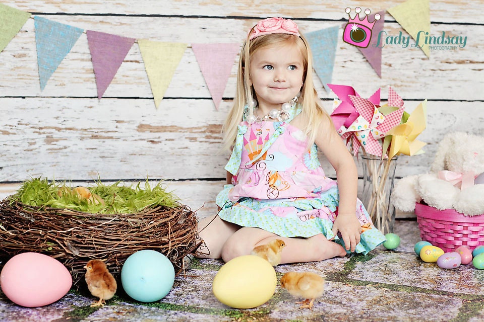 Newborn Bird nest Photo Prop-Large Owl Nest Newborn Infant Photography Prop