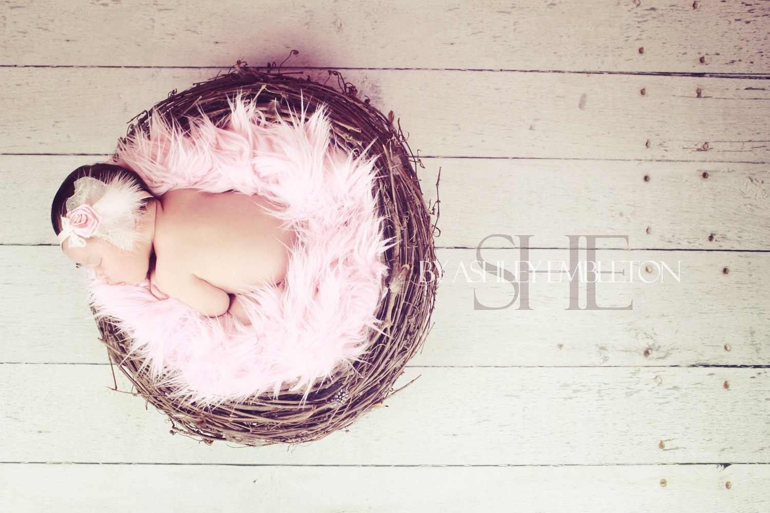 Newborn Bird Nest Photo Prop-Sweet Little Birdie Nest Baby Newborn Photo Prop