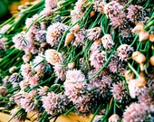 Photos for Interior: Vegetable Blossom in Provence Village Market Fine Art Print, Pink, Violet, Flowers. 8x10. By ARTindividual on Etsy