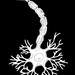 Neuron ornament