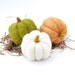 Needle Felted Pumpkins orange green white autumn fall thanksgiving halloween harvest eco friendly decor