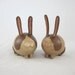 Dutch Chocolate Bunnies