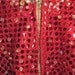 Las Vegas Show Girl Costume