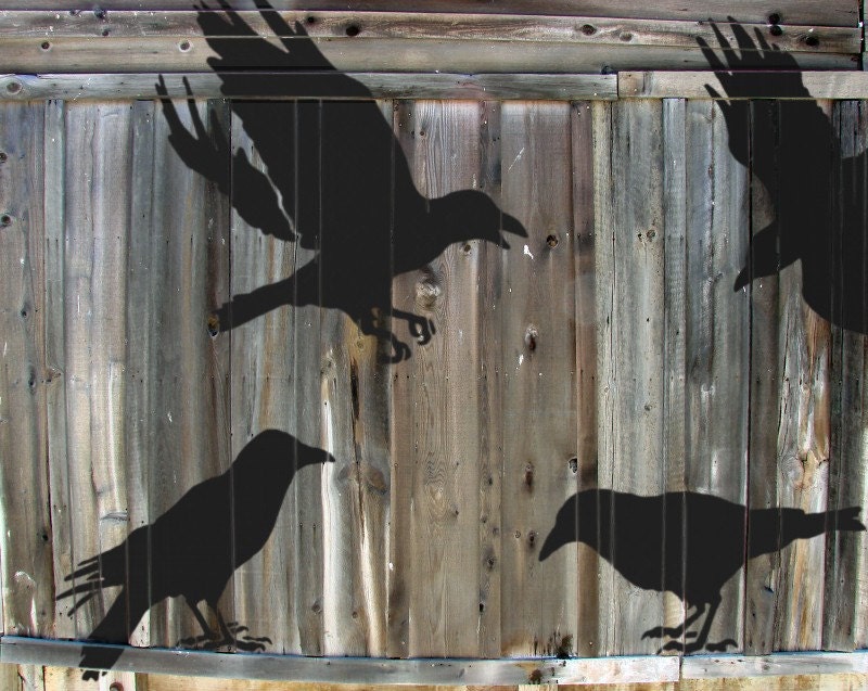 STENCILS for Walls - 4 CROWS - Reusable large bird stencils (4pc kit)