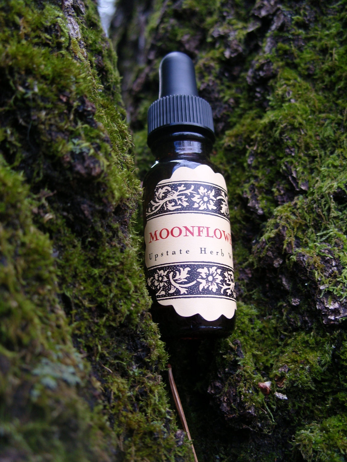 Moonflower Moisturizing Face Serum, with a Blend of Camellia & Rosehip, plus Rosewood, Myrrh, Jasmine, Sandalwood, Pomegranate Extracts