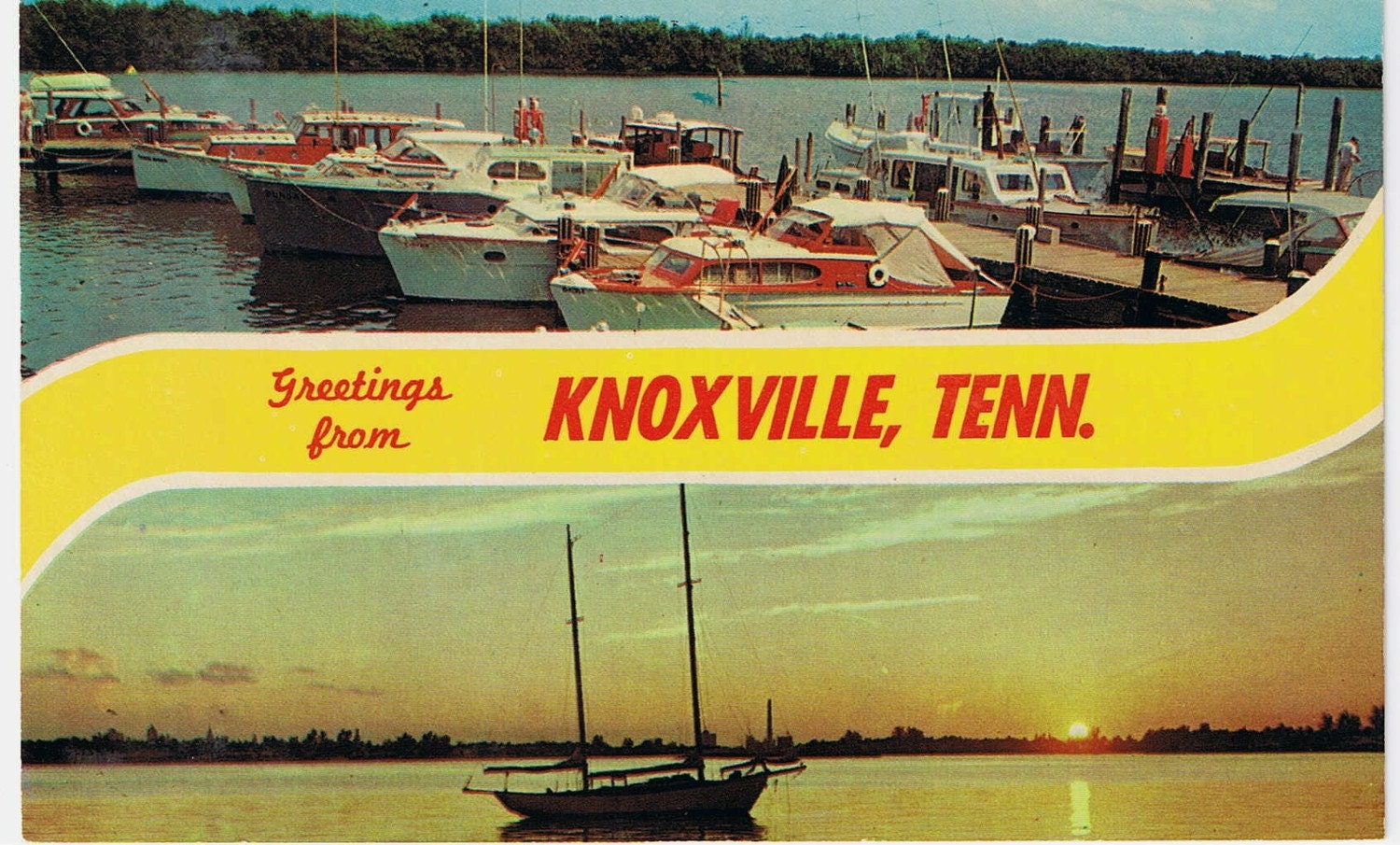 Vintage Postcard - Greetings from Knoxville, Tenn. - Postcards Greetings From Tennessee