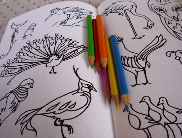 Beautiful Birds colouring book