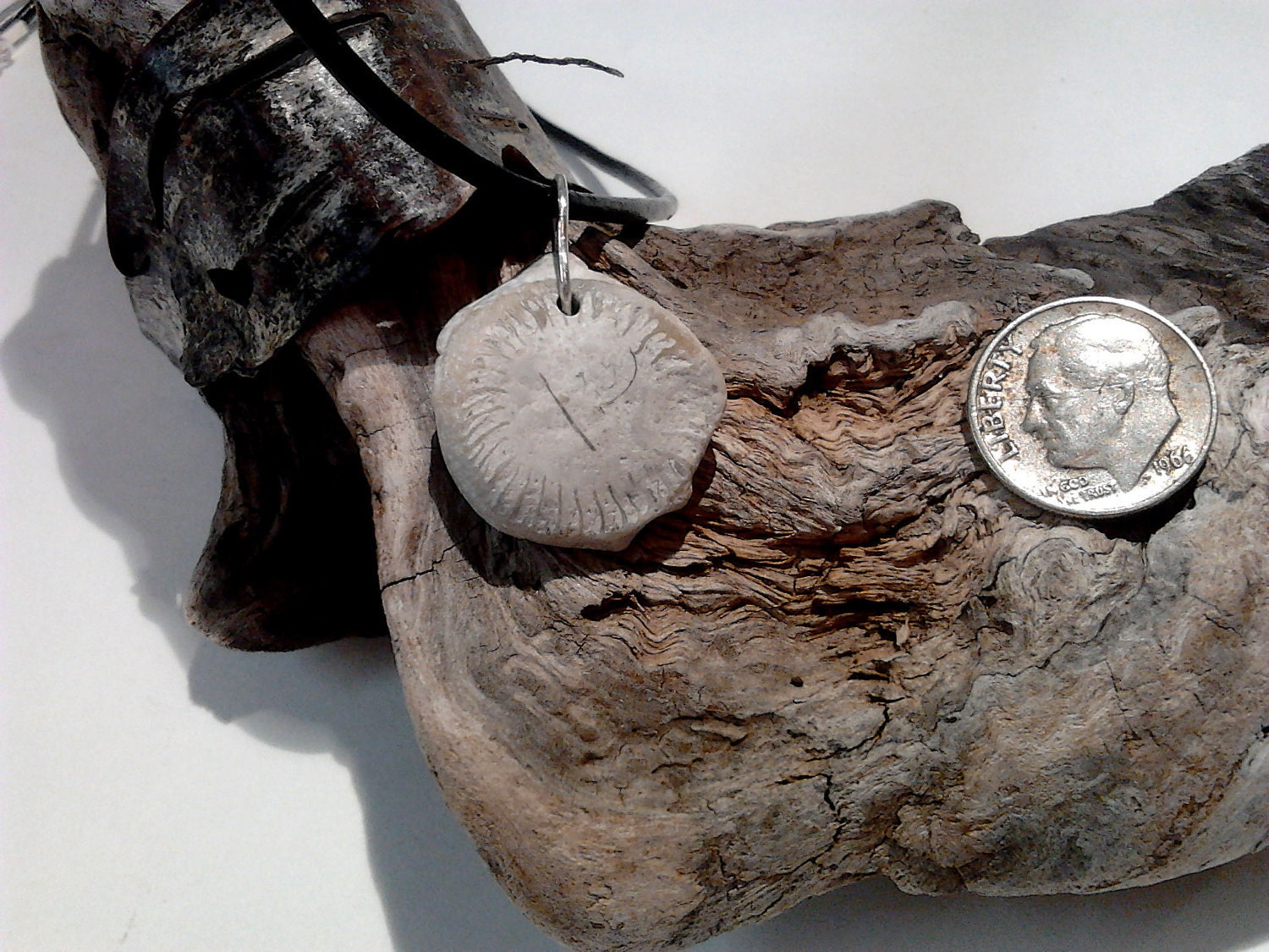 White horn coral fossil and leather necklace