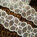 Embroidered Lace Trim -2 Yards Translucency Organza Embroidery Lace Trim