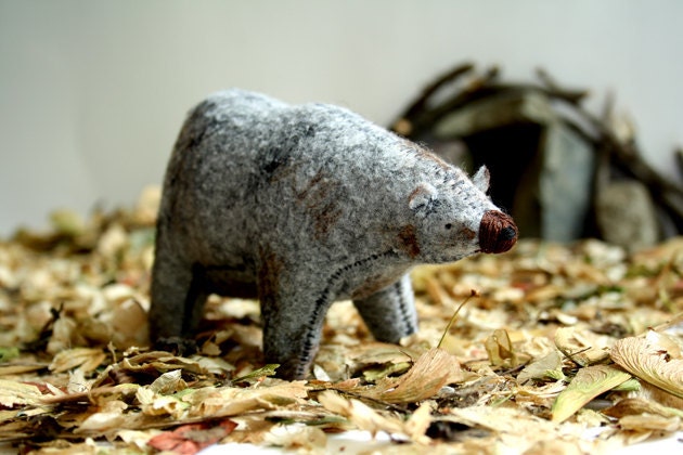 Cave bear