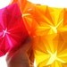 Translucent Origami Bows for your packages - In PassionFruit Colors - Window Hangers - Mandalas