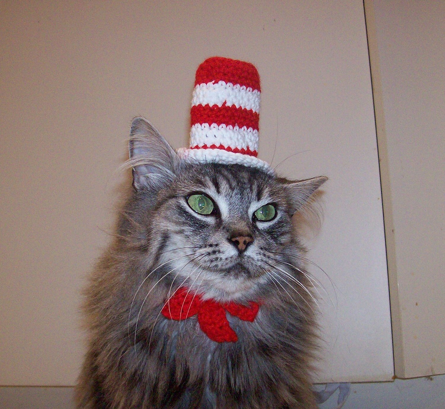 Cat In The Hat Hat For A Cat, Crocheted Dr. Seuss Costume
