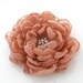 Peony in Dusty Rose